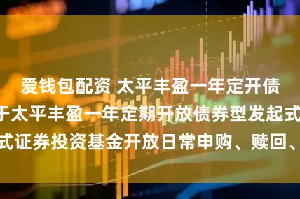 爱钱包配资 太平丰盈一年定开债券发起式: 关于太平丰盈一年定期开放债券型发起式证券投资基金开放日常申购、赎回、转换等业务的公告