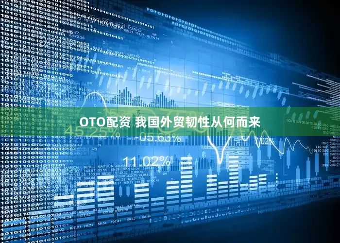 OTO配资 我国外贸韧性从何而来